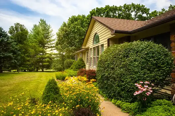 Professional Tree Services